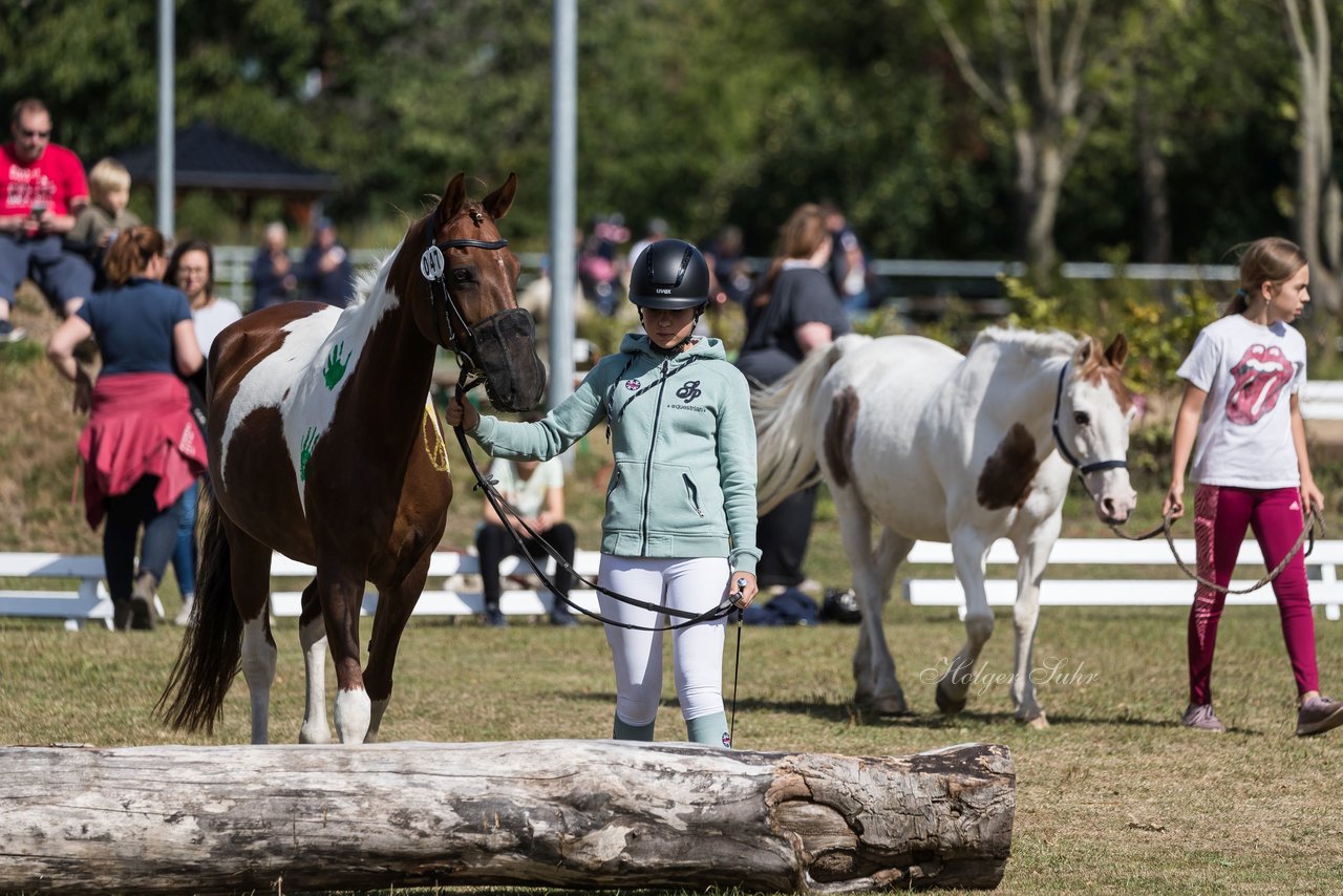 Bild 12 - Pony Akademie Turnier